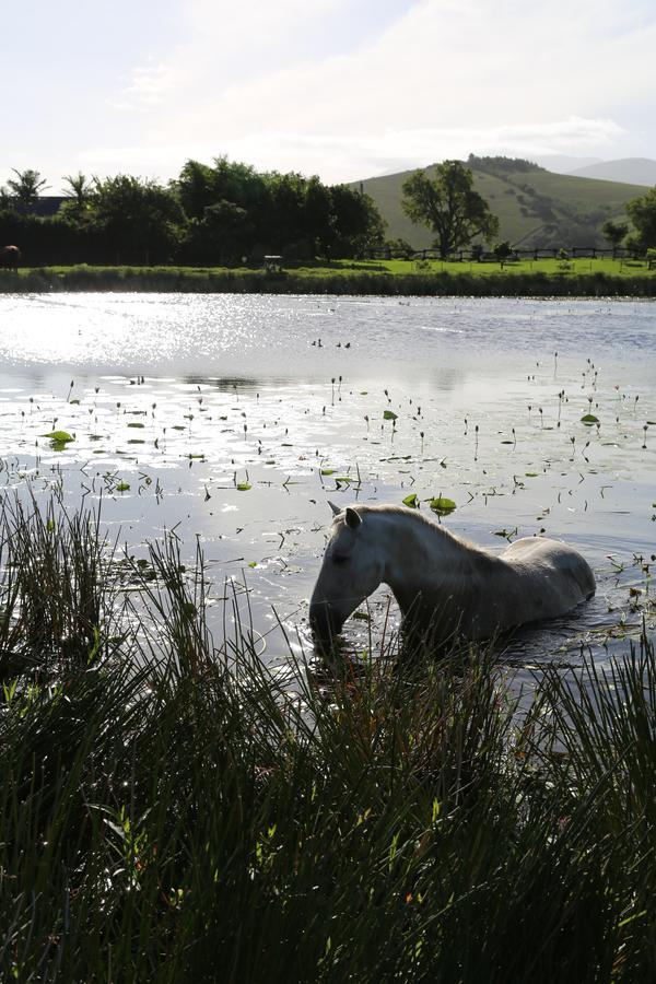 Hakuna Matata Game Farm Great Brak River Εξωτερικό φωτογραφία