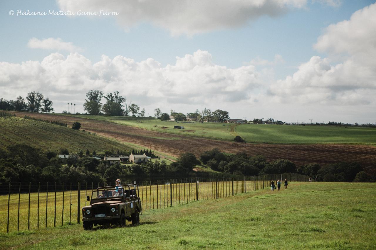 Hakuna Matata Game Farm Great Brak River Εξωτερικό φωτογραφία