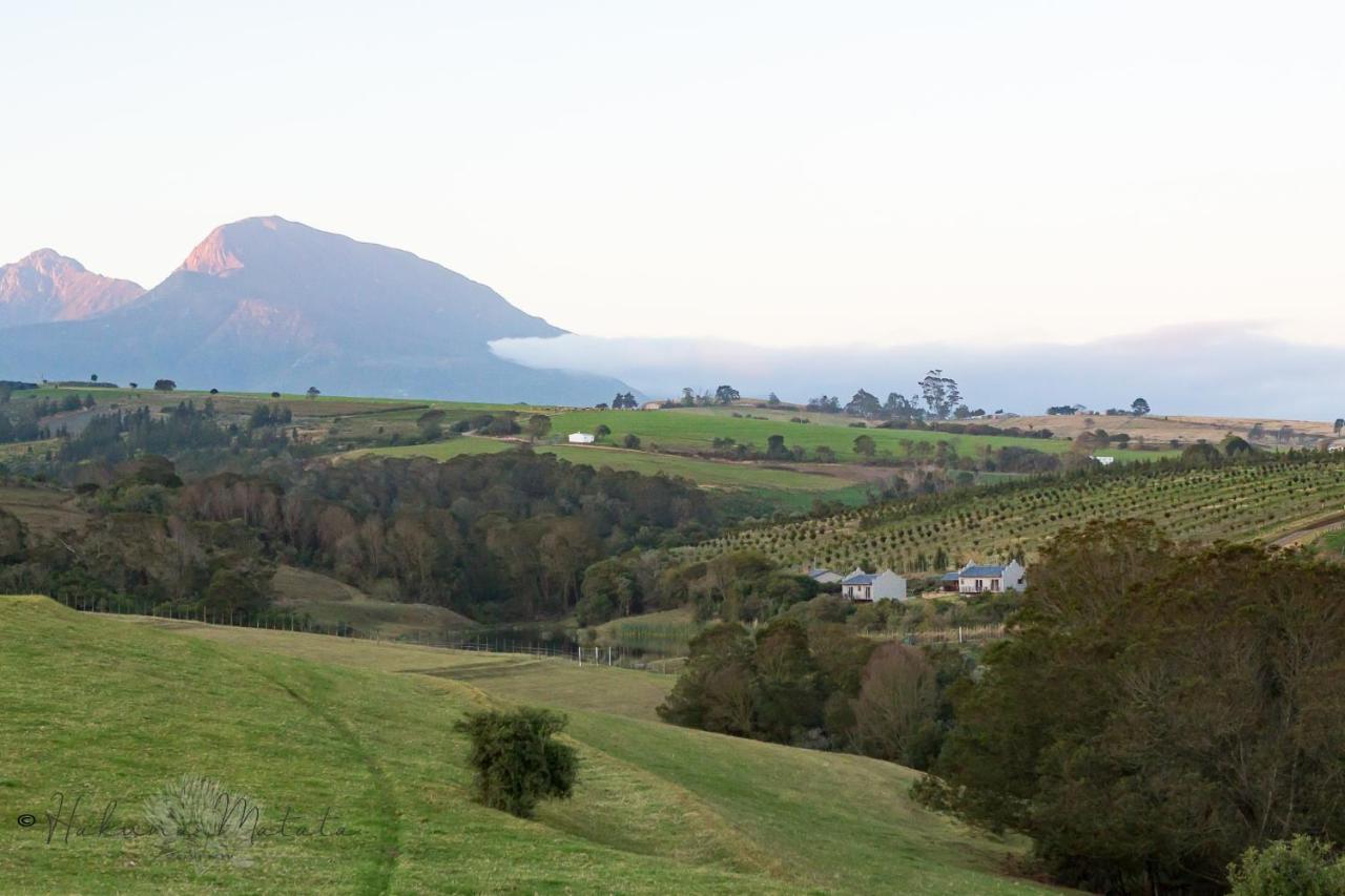Hakuna Matata Game Farm Great Brak River Εξωτερικό φωτογραφία