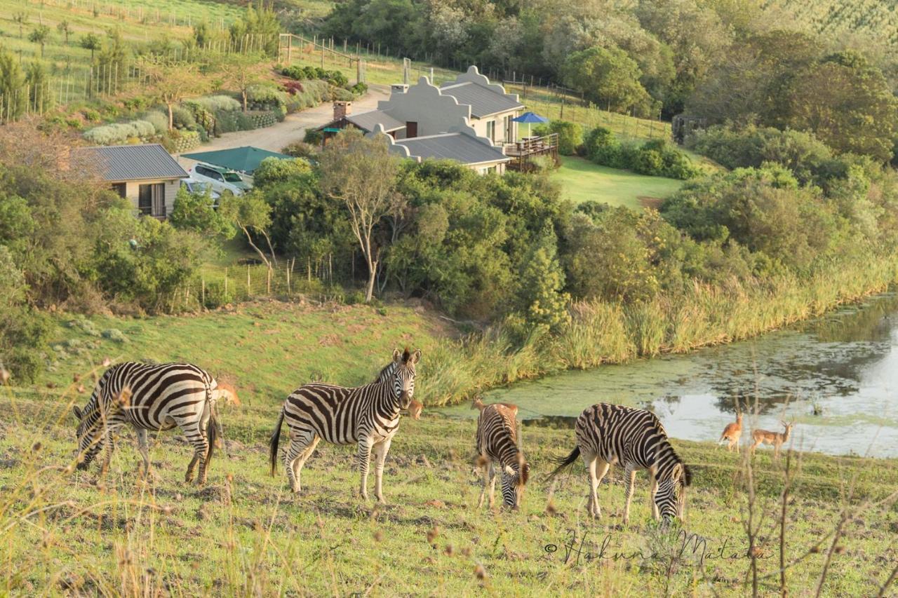 Hakuna Matata Game Farm Great Brak River Εξωτερικό φωτογραφία